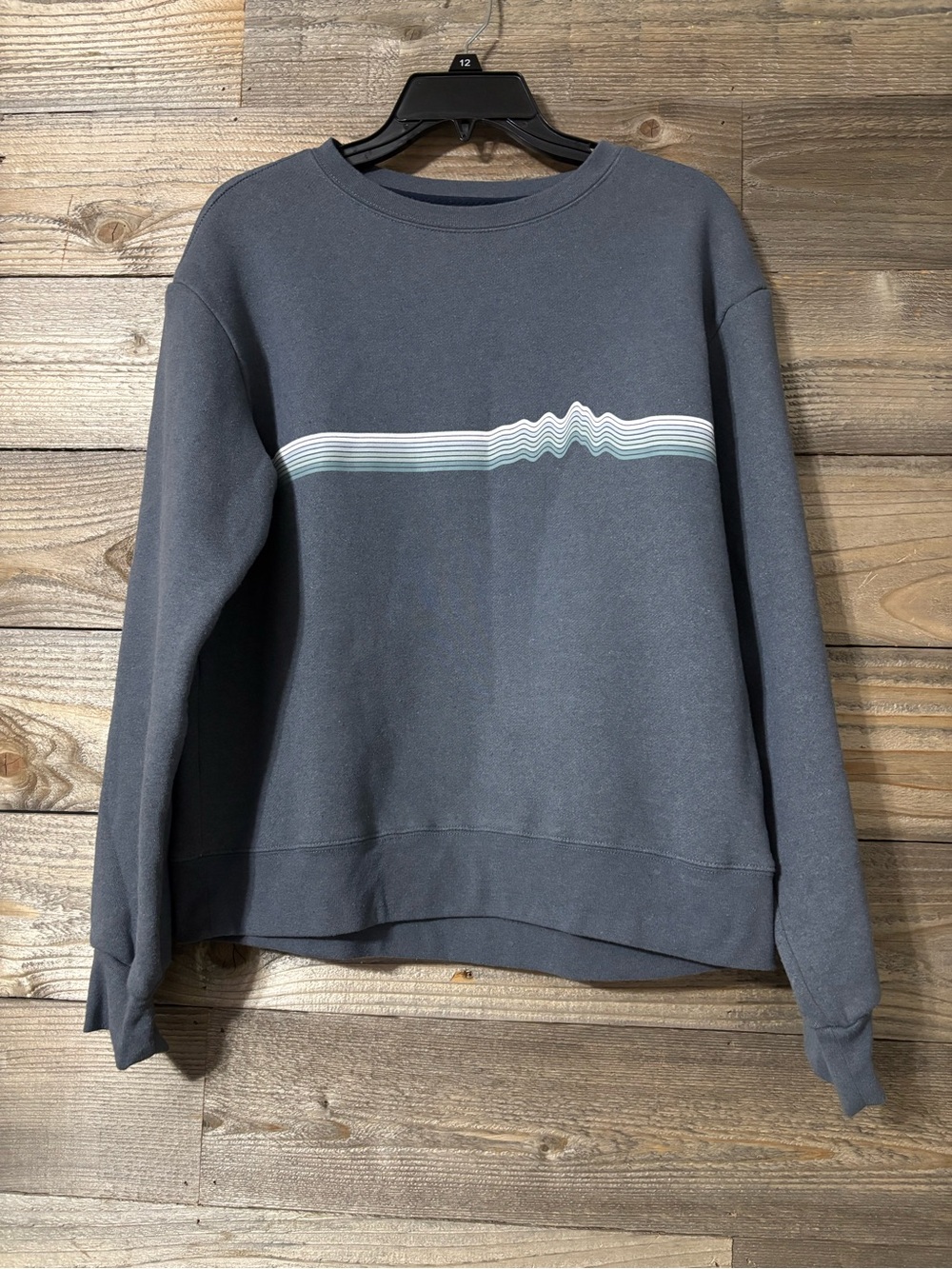 Patagonia crewneck sweatshirt
